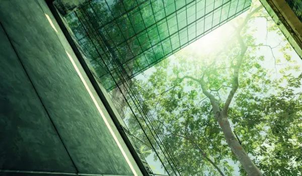 Sustainble green building. Eco-friendly building in modern city. Sustainable glass office building with tree for reducing carbon dioxide. Office with green environment. Corporate building reduce CO2.