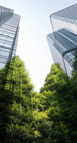 Green trees and office buildings,Recyclable concept lifestyle.