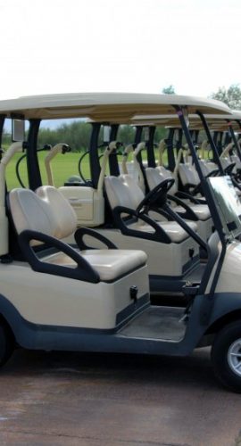 A row of golf carts is parked neatly on a paved path with a grassy field and mountains in the background.