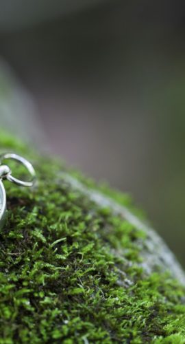A compass rests on a moss-covered surface, suggesting navigation or adventure in a natural setting.