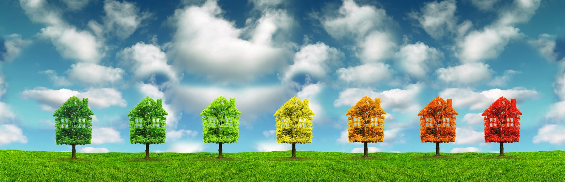 A row of trees in various colors representing different seasons against a blue sky with fluffy clouds.