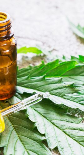Cannabis Marijuana Oil Extracts In Jars And Leaves For Treatment.