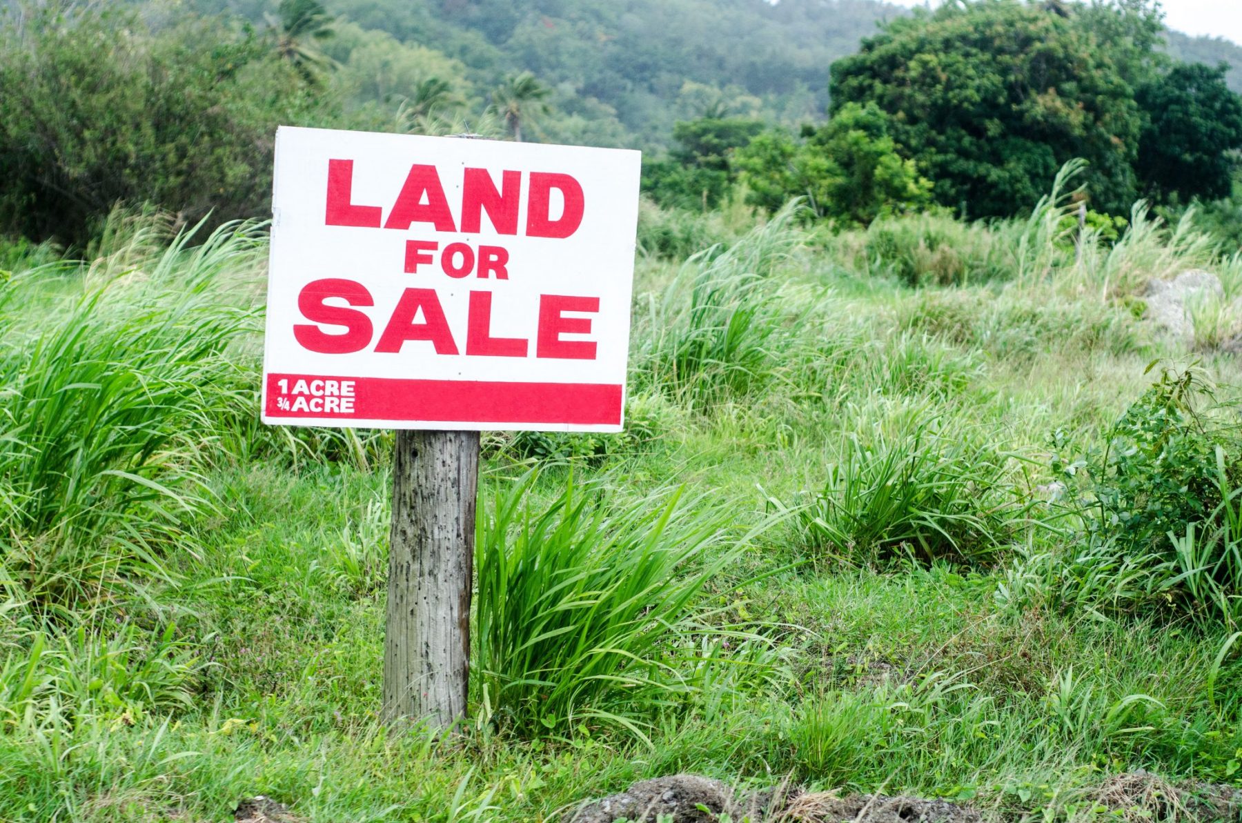 Land For Sale Sign In Grassy Lot