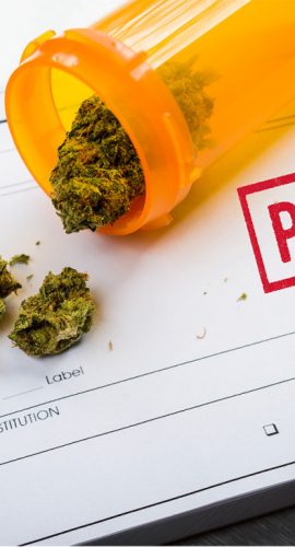Medical Marijuana Laws: "Part 1"