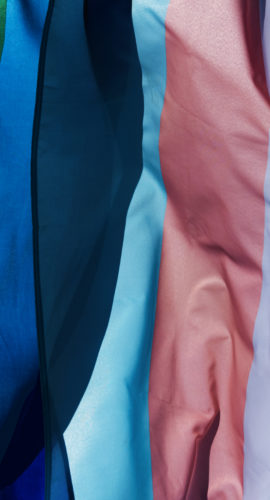 closeup of a gay pride flag and a transgender pride flag waving on the blue sky, moved by the wind