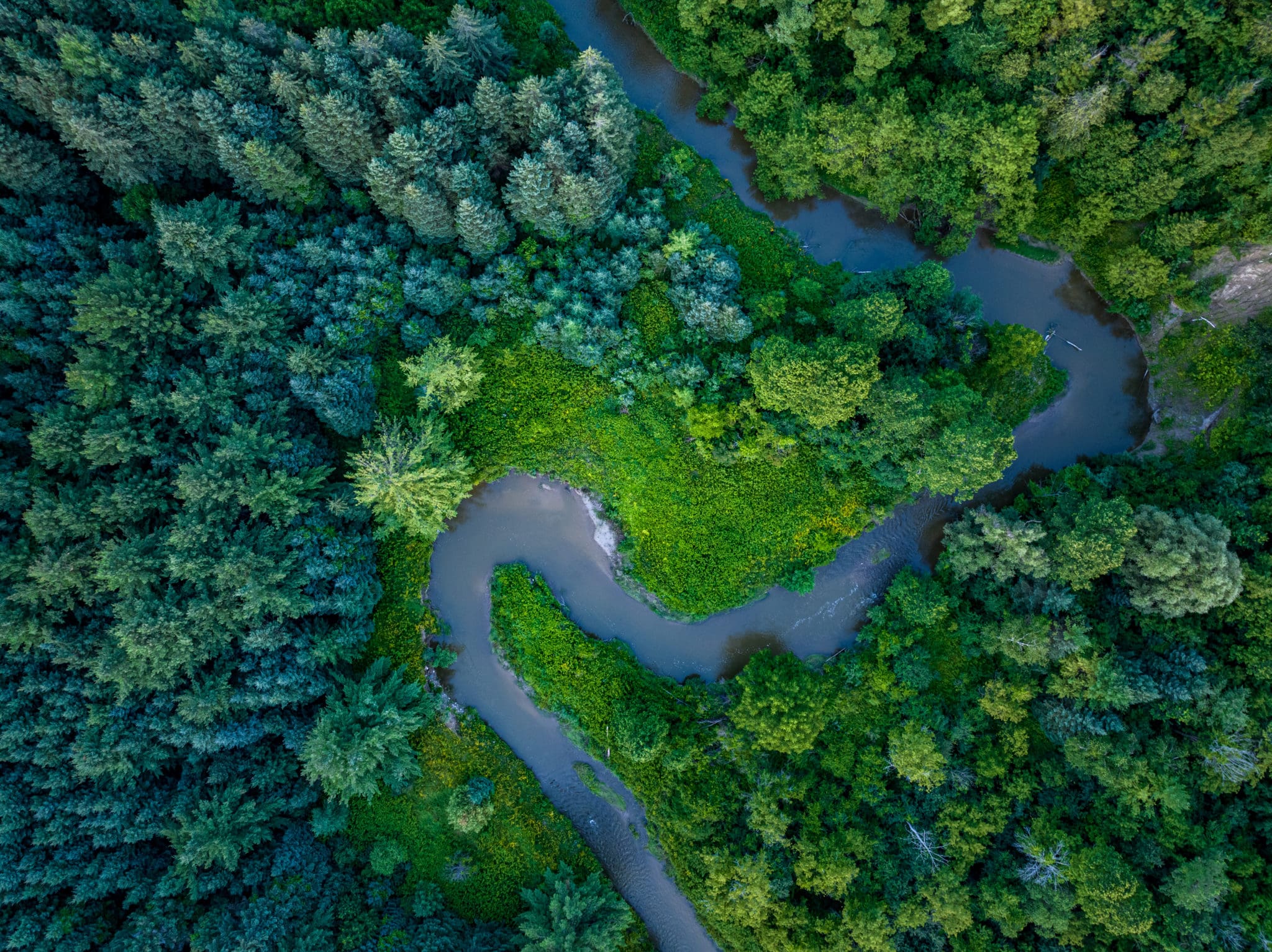 What’s Changing For Cos. In New Calif. Hazardous Waste Plan – Frost Brown Todd