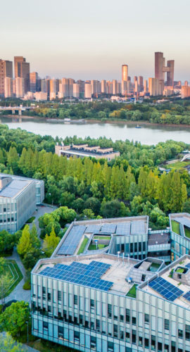 green ecological city